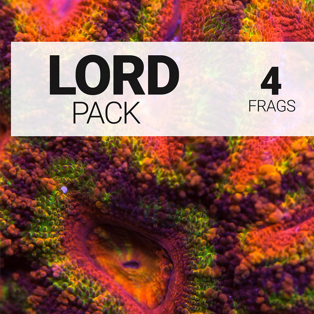 Aussie Lord Frag Pack - Daylight Photo